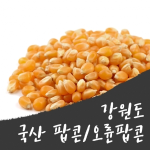 옥시기닷컴,강원도 오륜 팝콘용 옥수수/500g*2팩/국산팝콘/총1kg/옥시기닷컴