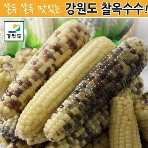 옥시기닷컴,강원도 냉동찰옥수수/일반포장/ 대-20송이/중-22송이/소-25송이/무료배송/옥시기닷컴/수평선몰